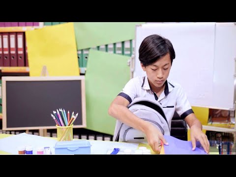 What are Executive Functions?