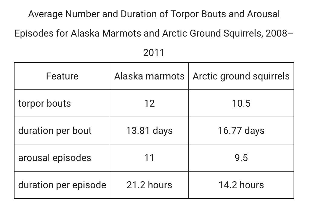 Torpor Bouts and Arousal